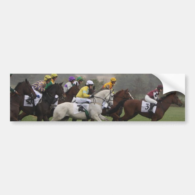 Race Horse Field Bumper Sticker (Front)