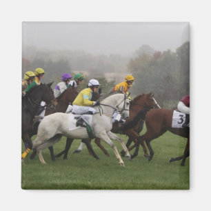Race Horse Field Square Magnet