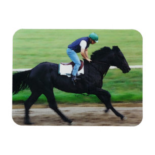 Race Horse Magnet