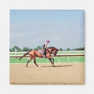 Race horse magnet
