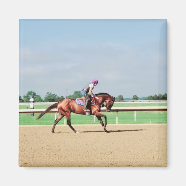 Race horse magnet (Front)