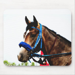 Race horse mouse pad