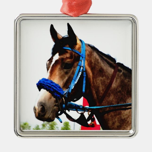 Race Horse ornament (Front)