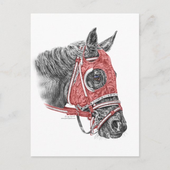 Race Horse Portrait Silks Postcard (Front)