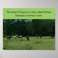 Race Horse Rescue Support Poster