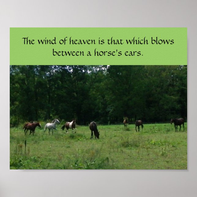 Race Horse Rescue Support Poster (Front)