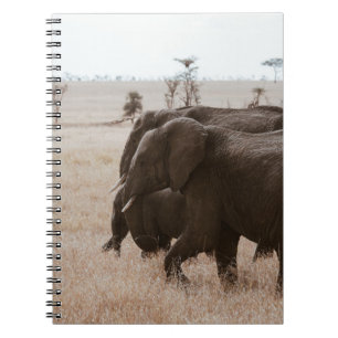 RACE OF ELEPHANTS NOTEBOOK