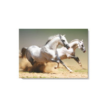 Race the Wind Horses