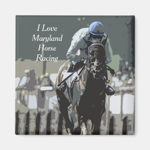 Racehorse With Jockey In Blue Solid Magnet