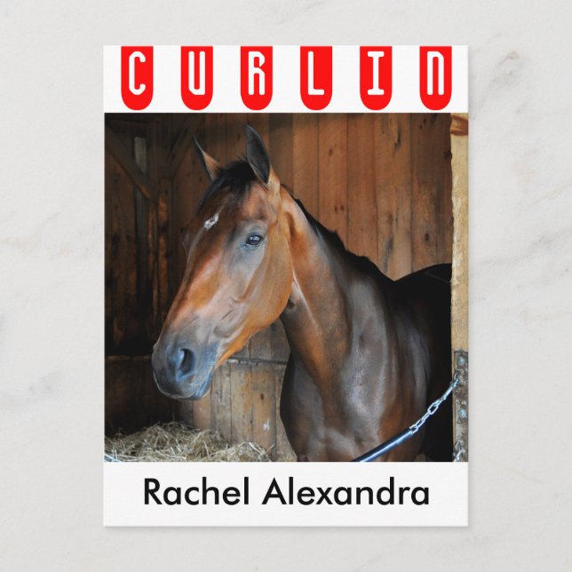 Rachel's Valentina Postcard (Front)
