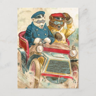 Racing Bears Postcard