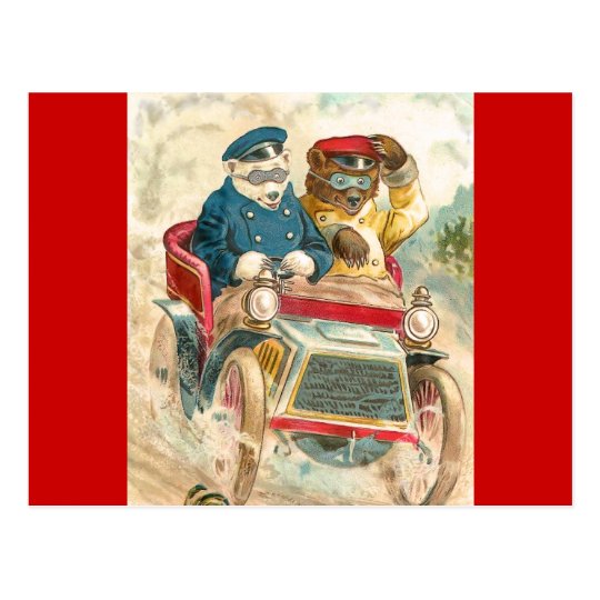 Racing Bears Postcard