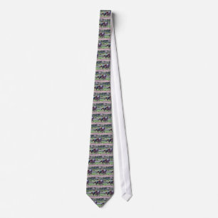 RACING FROM HISTORIC SARATOGA TIE