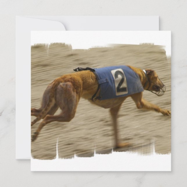 Racing Greyhound Dog Invitation (Front)