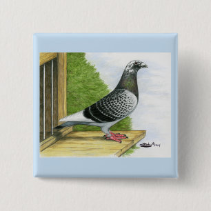 Racing Homer On the Landing Board 15 Cm Square Badge