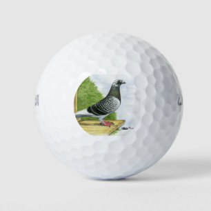 Racing Homer On the Landing Board Golf Balls