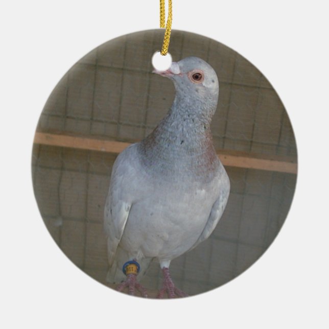 Racing Homer Ornament (Front)