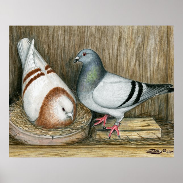 Racing Homers Home Life Poster (Front)