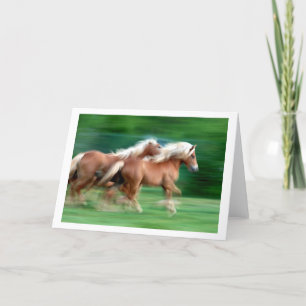 Racing Palomino Horses Greeting Card