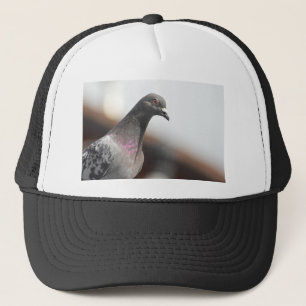 Racing pigeon trucker hat