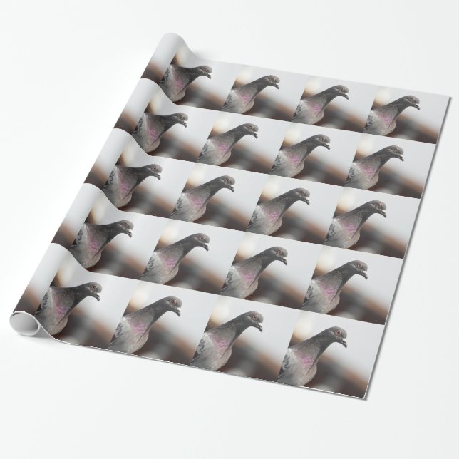 Racing pigeon wrapping paper (Unrolled)