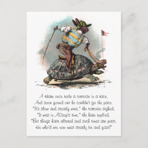 Racing Rabbit Riding Tortoise Postcard