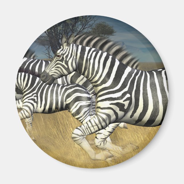 Racing Stripes - Zebra Magnet (Front)