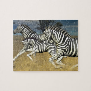 Racing Stripes, Zebra Puzzle