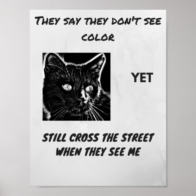 Racism superstition black cat quote poster (Front)