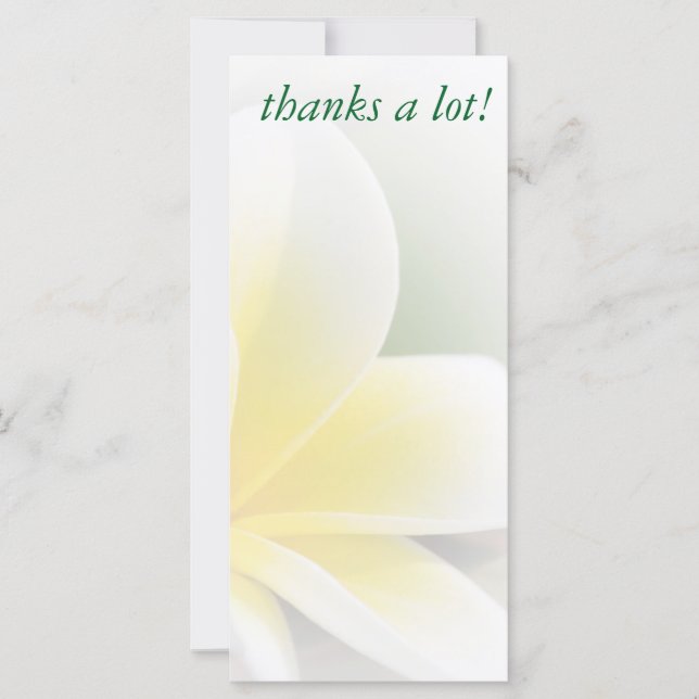 rack card - delicate frangipani photo (Front)