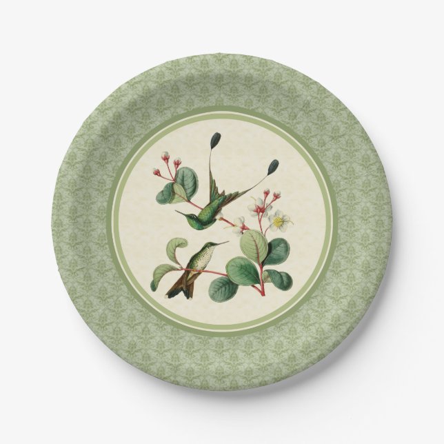 Racket Tail Hummingbird Damask Paper Plates (Front)