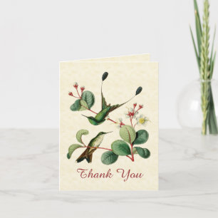 Racket Tail Hummingbird Thank You Note Card