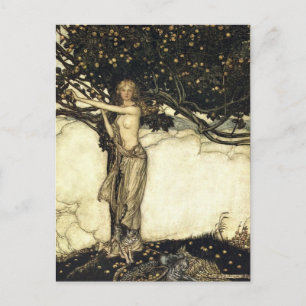 Rackham's Rhinegold Postcard