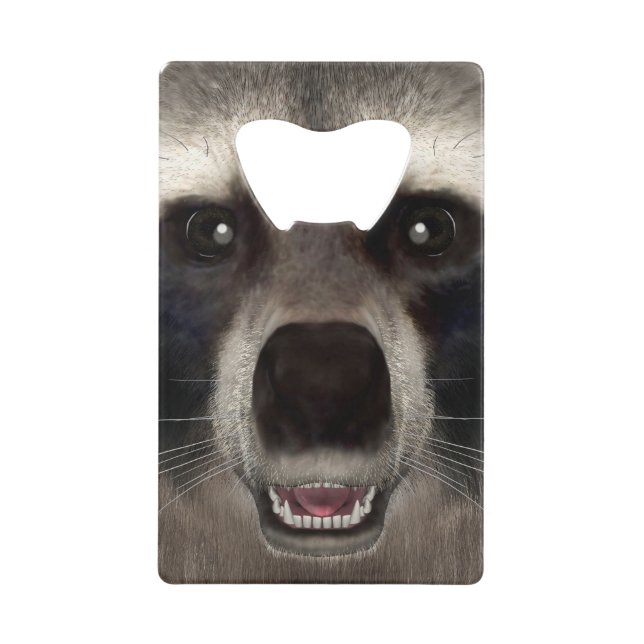 Racoon (Front)