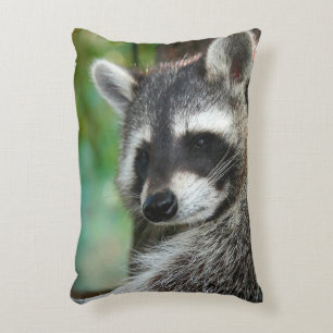 Racoon 001 decorative cushion
