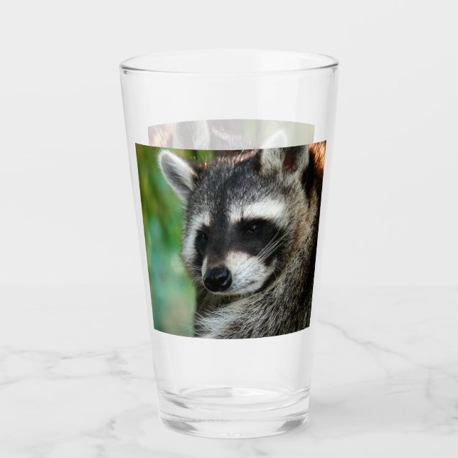 Racoon 001 glass (Front)