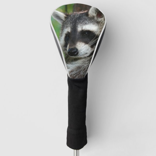 Racoon 001 golf head cover (Front)