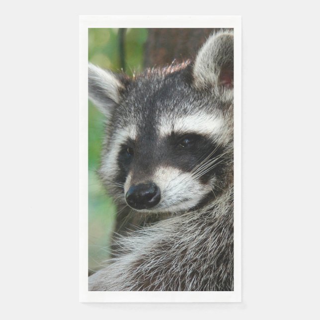 Racoon 001 napkin (Front)
