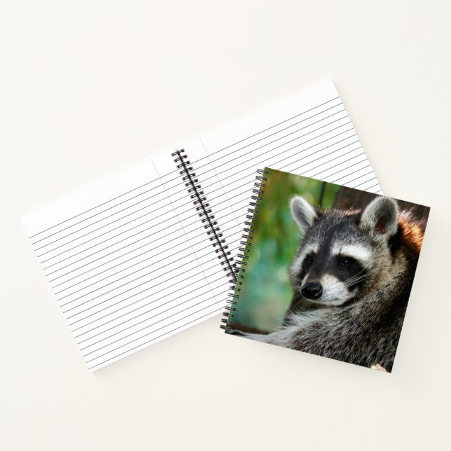 Racoon 001 notebook (Inside)