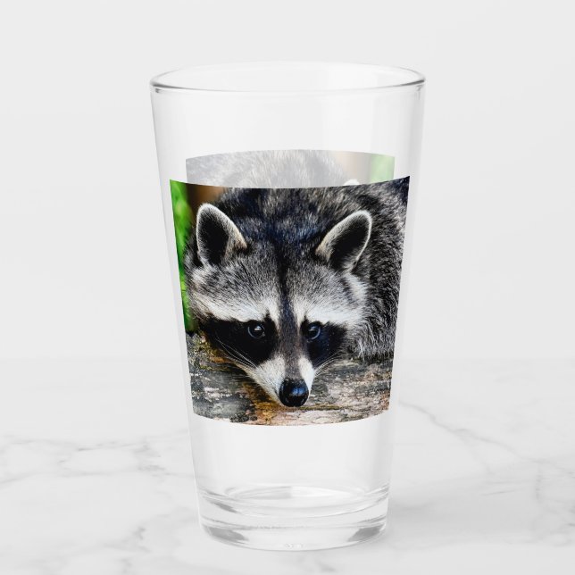 Racoon 003 glass (Front)