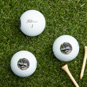 Racoon 003 golf balls