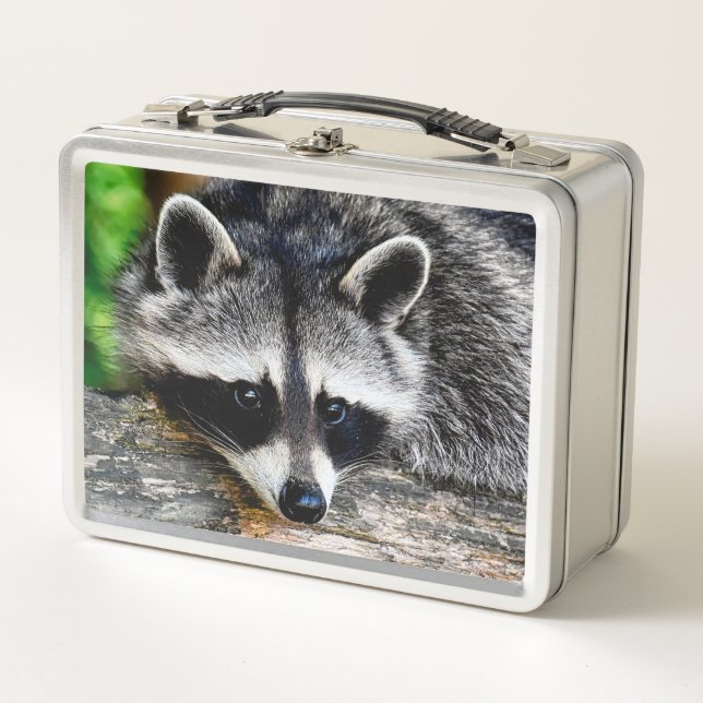 Racoon 003 metal lunch box (Front)