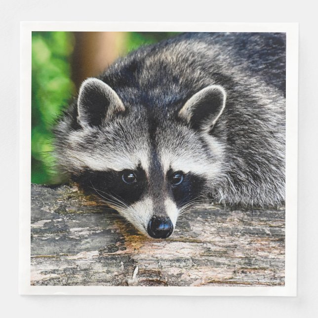 Racoon 003 napkin (Front)