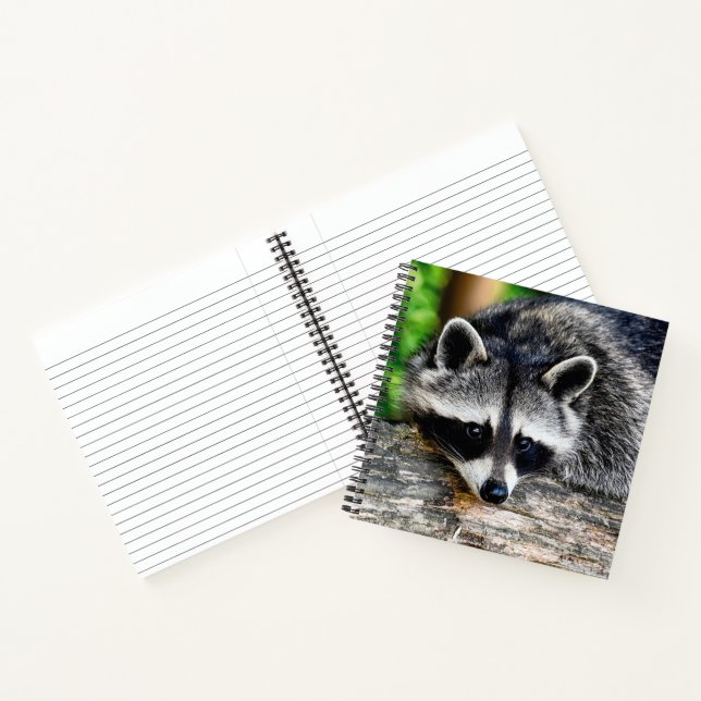 Racoon 003 notebook (Inside)