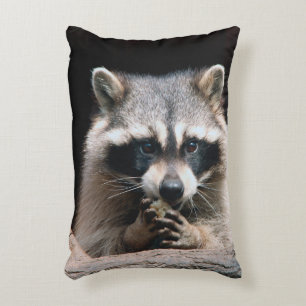 Racoon 004 decorative cushion