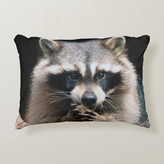 Racoon 004 decorative cushion (Front)