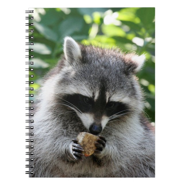 Racoon 004 notebook (Front)