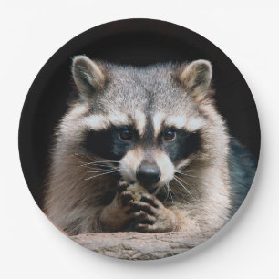 Racoon 004 paper plate