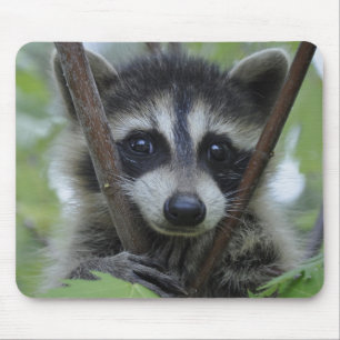 Racoon - #1005 mouse mat