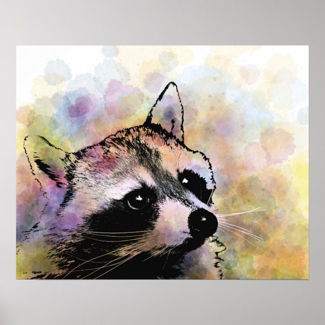racoon 23 poster (Front)